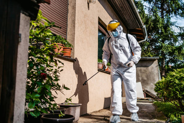 Insect Control in Brightwood, VA